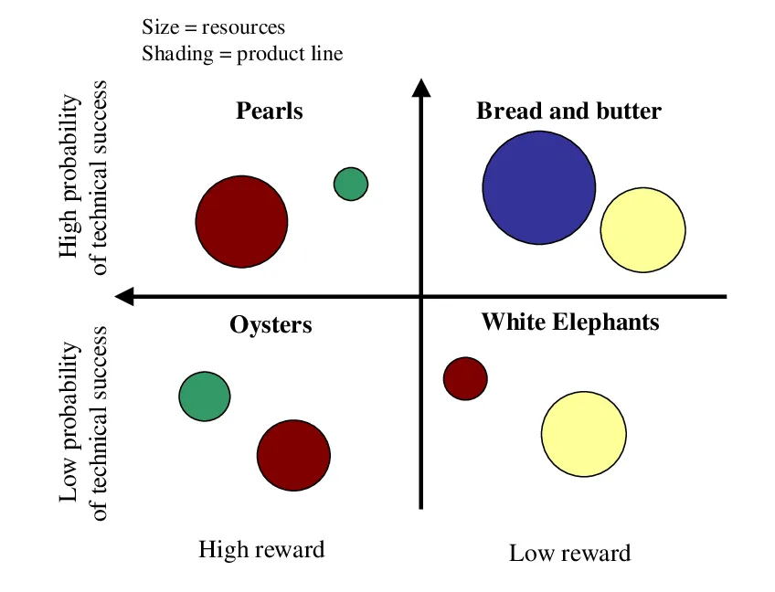 Project portfolio bubble chart with success and reward axes.