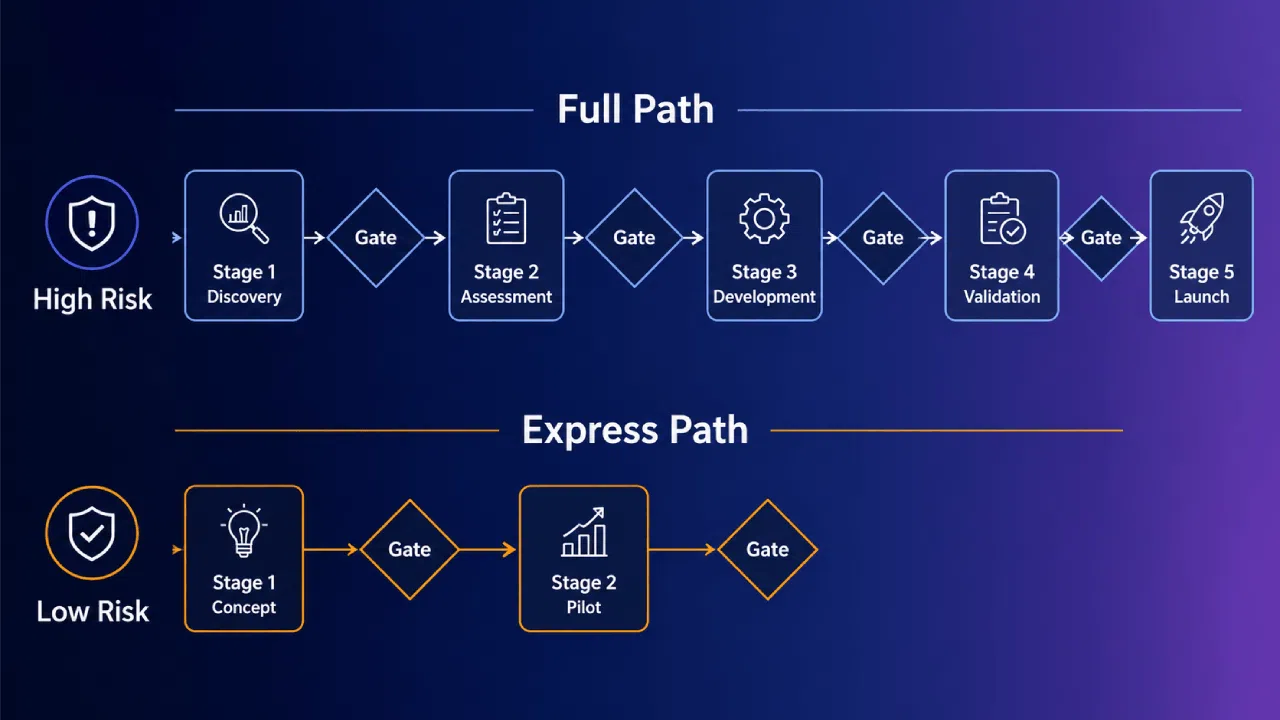 High risk and low risk project pathways diagram